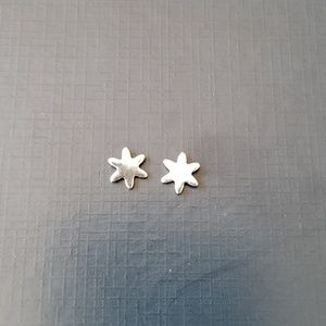 NWT Stainless Steel Star flower Earrings gift